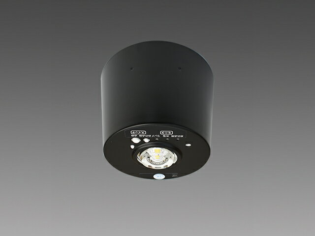 暗めの内装デザインやスケルトン天井など、こだわりのある空間におすすめの黒枠タイプをラインアップEL-CB10111KB●30分間定格形●直付形 小型タイプ●リモコン自己点検機能付●低天井・小空間用(〜3m)●昼白色(5000K)