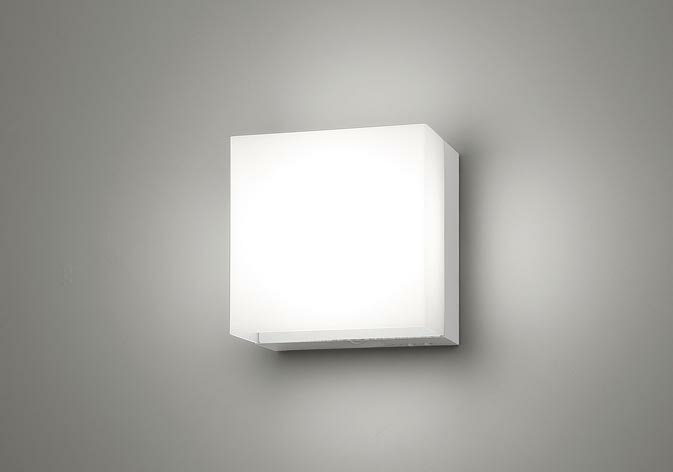 ѥʥ˥å NNCF50120J LE1 ľշ LED  ѥѥȥ֥饱åȡϩͶƳ 30ʬ֥ ǽ FHT241