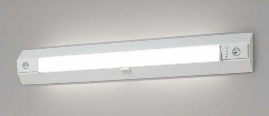パナソニック NNCF43655 LE9 階段灯 階段通路誘導灯 天井・壁直付型 LED 昼白色 長