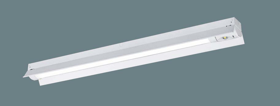 パナソニック XWG462KGNJ LE9 非常用照明器具 直付 40形 6900lm型 昼白色 30分間 防湿防雨 自己点検機能 非常時高出力 反射笠付 器具+ライトバー