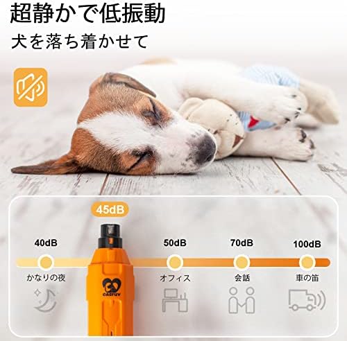 ���ѥͥ��륰�饤����� 6���ԡ��� - �ڥå��� ���ż���ư���ѥͥ���ȥ�ޡ�