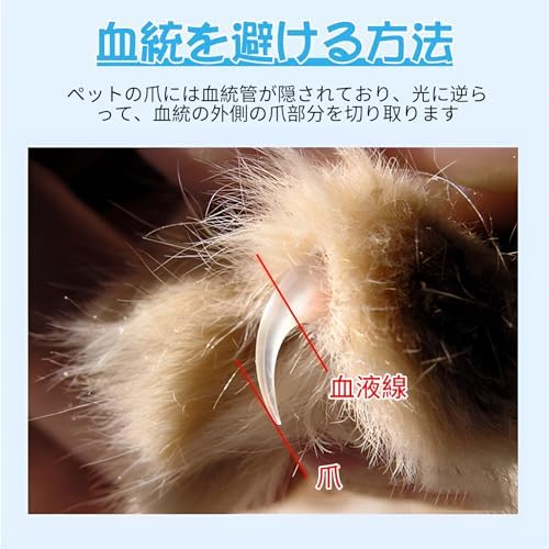 ǭ ���ڤ� �ڥå������ڤ� �ڤꤹ���ɻ� ���ӻ��ꥬ���� ���� �����䤹�� ��ñ��� �鿴���� ��ưʪ���б�