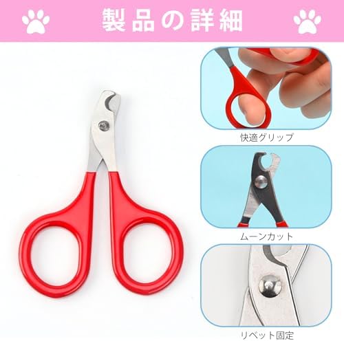 ǭ�����ڤ� �� 8cm 5.4cm��2�ĥ��åȡ�