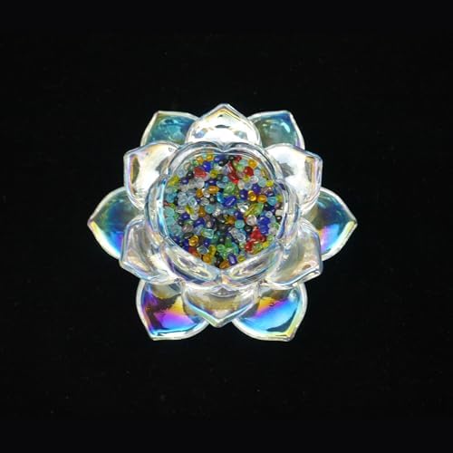 ����Ω�� 2 in 1 ����Ω�� �Ữ ʩ���ѻ� ���䤷��ϧ ��ƻ���� ��ƻ���� ����ƥꥢ ���� �襬���� ����ϧ ���ե��� ������ �㼼 ���ۼ� ��� ���� £��ʪ