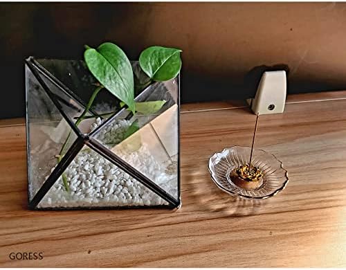 ���� ��ϧ ϡ�β֤���Ω�� ����Ω�� ������� �Ữ ���ե��� ����ƥꥢ ���۽ˤ� ���