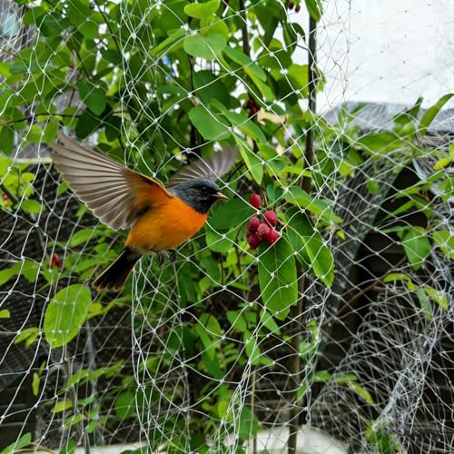 樂天商城 - 防鳥ネット 透明 25mm目合い 鳥よけ対策 ベランダ・果樹園対応 (3m×10m)