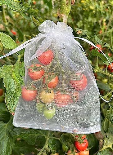 家庭菜園や庭の果樹の収穫におすすめの防虫ネットです。イチジクや桃などにも適しています。防虫ネットは50枚セットで、サイズは20x15cmです。小さな野菜や果物を覆うのにちょうど良い大きさです。小さ目の桃がぎりぎり入るサイズです。家庭菜園や庭の果樹の収穫におすすめの防虫ネットです。イチジクや桃などにも適しています。防虫ネットは50枚セットで、サイズは20x15cmです。小さな野菜や果物を覆うのにちょうど良い大きさです。小さ目の桃がぎりぎり入るサイズです。