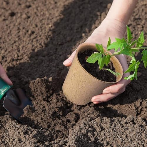 育苗 ポット 栽培ポット 植木ポット 形 8cm 50個入り 植物苗スターター 室内・屋外対応 園芸用品 2