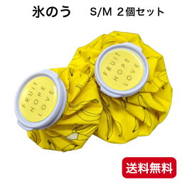 冷温両用氷のう S/M2個セット 氷嚢 アイシングバッグ熱中症 スポーツ 熱中症対策