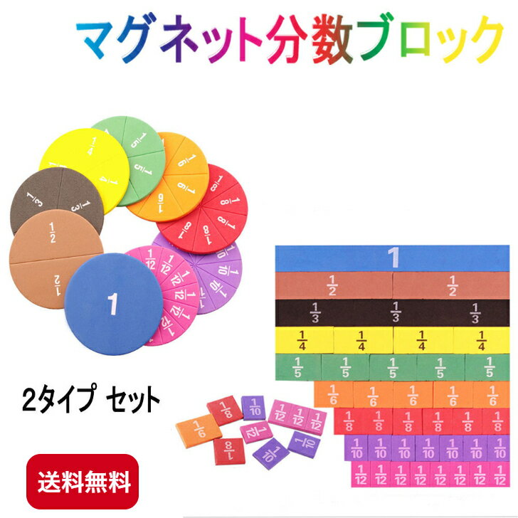マグネット分数ブロックセット 円タイプ バータイプ 2タイプセット 分数を視覚化 算数教材