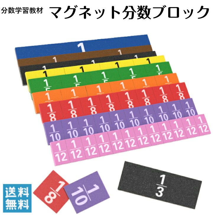 マグネット分数ブロック　分数 学習 算数 送料無料 分数を視覚化　算数教材 分数の概念を学ぶのに最適!見て学び、触れて学ぶことで算数を楽しく学習できます。ご注意: 誤って飲み込むと窒息の恐れがあります。乳幼児が近くにいる環境では特にご注意下さい。 モニターの発色具合によって実際の色と異なる場合がございます。 5
