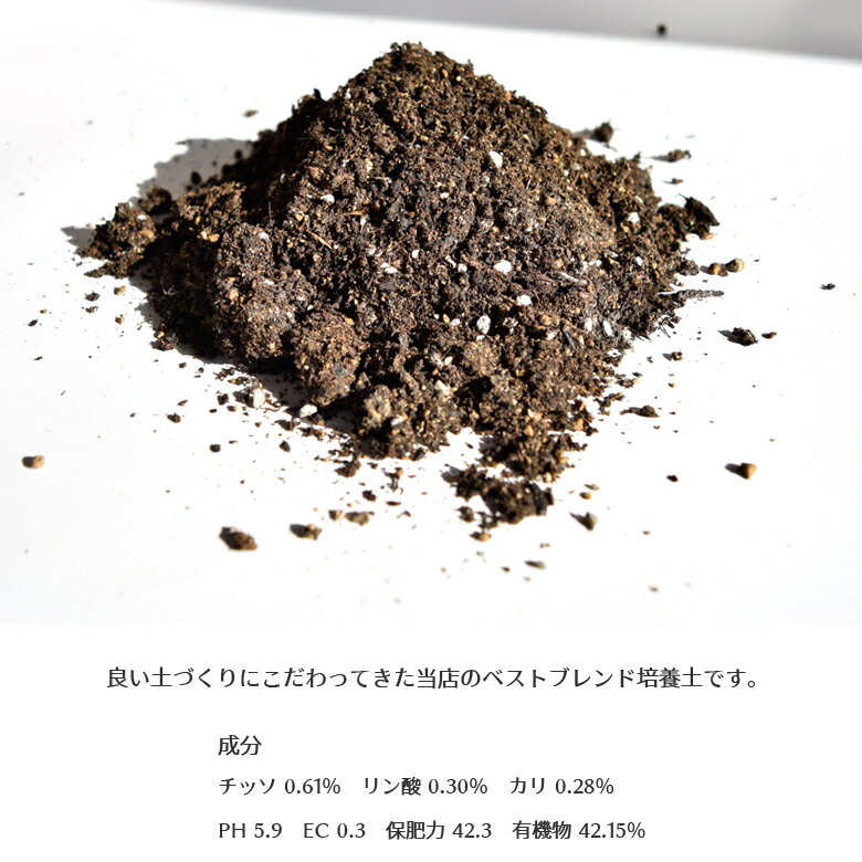 ������ �������� ��̾��������� �����ڱ� �� �ץ�󥿡��� �ѥ󥸡� �ڥ���˥� ��� ��� ���� �դ��դ�