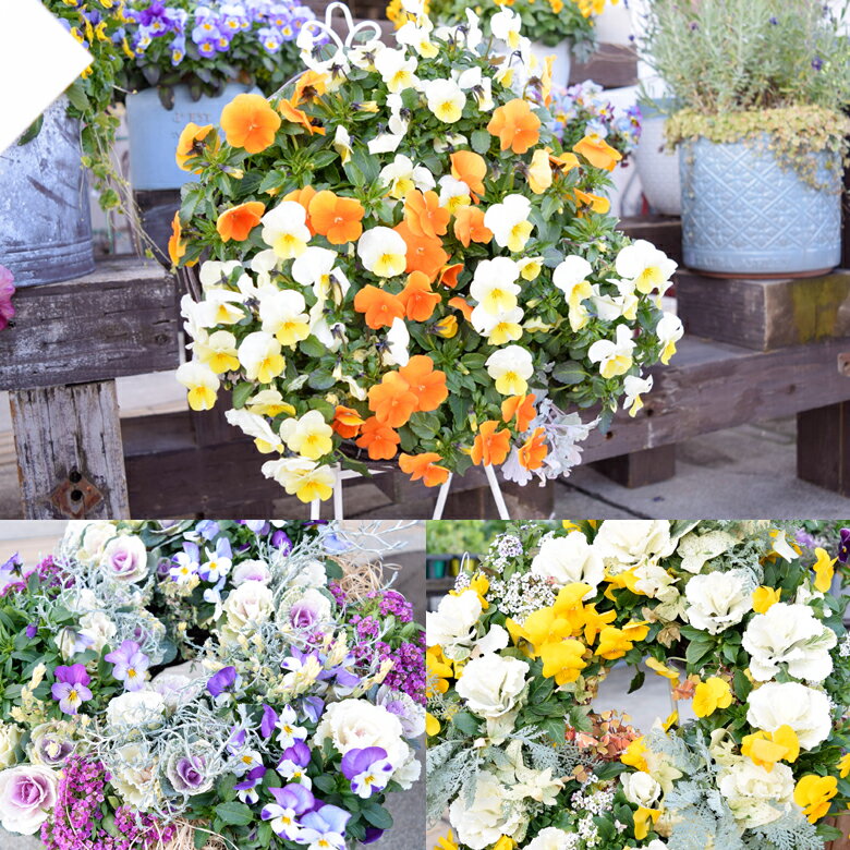 緩効性元肥料 培養土 自社農園 猪名川農場の土 家庭菜園 土 寄せ植え 草花 植木鉢 ふかふか