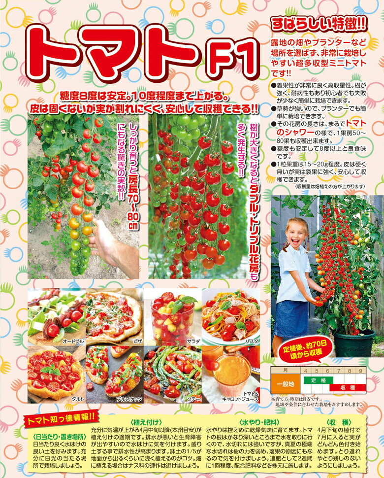 ���ॽ�� �����ʤ� �ȥޥ�F1 ����� 9cm�ݥå� 3��ȭ �ȥޥ� ��ñ �ڡ� ¿���� �Ť� mson