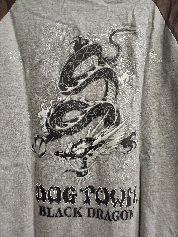 DOG TOWN 龍柄　プリント　Tシャツ　XL（3L位) グレー ブラウン キングサイズ お兄系 オラオラ 2