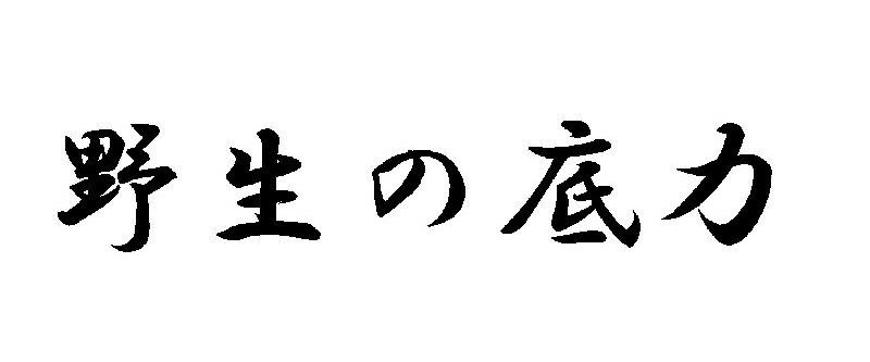 Rakuten - J. 70 スポコンパロディ野生の底力 文字ステッカー　Mサイズ　カッティングステッカー