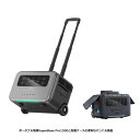 国内正規品 ZENDURE ポー