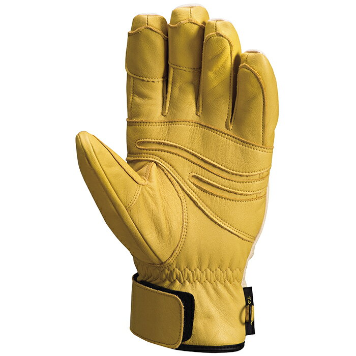 25-26モデル 日本生産 TAUBERT(トーバート) スキーグローブ Full Leather SLOPE（...