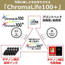 msshokai:10000467のサンプル画像3