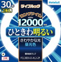 【即納】【365日毎日出荷】ホタルクス 旧NEC ライフルック 丸形蛍光灯(FCL) 3波長形 環形蛍光ランプ 30形 2本入 昼光色 さわやかな光 ひときわ明るい ロングタイム 12000時間 日本製 FCL30EX-D-XL2-2P