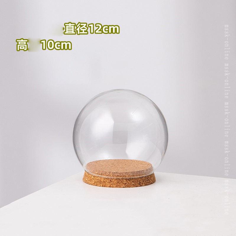 500円OFFクーポン ガラスドーム クリアケース 微景観 アクセサリー展示 永生花 ミ...