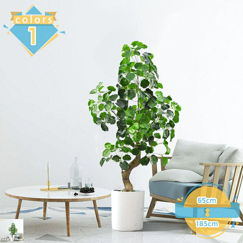 メイン素材：プラスチック【梱包内容】人工観葉植物 x1＋ 黒いプラスチックの鉢 x1。※写真の白い鉢は撮影用ですので含まれておりません。より大きな装飾植木鉢に置くことをお勧めします。※異なるサイズの植物は、幹の形状や葉の密度に違いがある場合がございます。画像を参考にお願いします。【高品質な素材と精巧な造形】 本物と見分けがつかないほどのリアルな質感と、長期間美しい状態を保つ耐久性をアピール。高品質のPE素材を使用。一つひとつの葉の葉脈まで精巧に再現しており、近くで見ても天然の観葉植物と見間違う美しさです。【シーンを選ばない多彩な飾り方】リビングや玄関のインテリアはもちろん、光の入らないオフィス、店舗のディスプレイ、賃貸住宅でもOK。枯れる心配がないので、開店祝いや移転祝いなどのギフトとしても大変喜ばれます。おしゃれな空間作りをサポートします。【安心の安定性】大型サイズでも転倒しにくい、安定した土台を採用しています。店舗や公共の場でもご利用いただけます。小さなお子様やペットがいるご家庭でも安心です。【驚くほど簡単！お手入れ不要】水やり、剪定、肥料は一切不要です。ほこりが気になったら、軽く水洗いするか、濡れ布巾で拭くだけのお手入れの簡単さ。忙しい方、植物の育て方が分からない方、光が入りにくいお部屋でも、いつも緑あふれる空間を簡単に維持できます。◆ 商品仕様 ◆ 商品名：大型造花観葉植物 素材：葉（プラスチックPE）、幹・枝（ポリプロピレン）、鉢（プラスチック） 全体の高さ：65cm / 95cm / 130cm / 160cm / 165cm / 170cm / 185cm セット内容：本体 x 1 ◆驚くべきリアルな質感◆ 本物と見間違うほどの精巧な造形。葉一枚一枚に至るまで、職人が丹念に作り上げた緑色と自然な質感をお楽しみください。近くで見てもわからないほどの高級感で、お部屋の雰囲気を一気にグレードアップします。 ◆お手入れ不要の完璧なグリーン◆ 水やり、剪定、日光不足、害虫の心配は一切ありません。枯れることも色あせることもない、永遠の美しさ。忙しい毎日でも、旅行や長期出張でも、常に完璧な状態を保ちます。植物を枯らしてしまう方や、面倒な作業が苦手な方に最適です。 ◆多様なシーンで活躍するインテリアの主役◆ リビングのコーナー、玄関、オフィスのエントランス、ショップのディスプレイ、レストランの席など、空間のアクセントとして圧倒的な存在感を発揮します。殺風景な空間に生命感と安らぎを与え、洗練されたおしゃれな空間を創出します。 ◆耐久性抜群 & 清潔に保てる◆ 高品質のPE素材とプラスチックを使用しているため、長期間の使用でも変形や褪色がほとんどありません。また、ほこりが気になったら、簡単に水洗いできるので、清潔な状態を常に保て、子どもやお年寄りも安心です。 ◆シーン別セクション◆ **リビング** 「くつろぎの時間に、やすらぎのを。」 **オフィス** 「仕事の効率と創造性を高める、癒やしの空間づくり。」 **店舗** 集客力とイメージアップを叶える、印象的なワンシーン。」 **玄関** 訪れる人全てを出迎える、おもてなしの。」 この一輪のが、あなたの日常に安らぎと彩りを与え、そしてあなたの大切な方への心のこもった贈り物となりますように。心を込めてお届けいたします。(=^_^=) ◆ 安心の保証 ◆ ◆ キーワード ◆ 大型 観葉植物 造花 フェイクグリーン 大サイズ インテリア おしゃれ 人工観葉植物 鉢植え 開店祝い 引越し祝い ギフト枯れない 雑貨 人工植物 省スペース 開業祝い 飾り 店舗 ディスプレイ お手入れ不要 リアル 存在感 偽物 エントランス 会議室 緑化 職場環境 ホテル ルーム お店 置物 デコレーション 庭園 オフィス商品情報は参考用です。具体的な仕様および機能については、実際の商観葉植物 高さ120cm フェイクグリーン 大型光触媒 空気清浄 インテリア 家の中に置く人工観葉植物 二つの幹 おしゃれ 世話がない 水やり不要のホームフェイクグリーン 大型 屋外 180cm おしゃれ リビング ヤシの木 パキラ 消臭 観葉植物 リアル 150cm 吊り下げ 屋外対応 光触媒 トイレ 壁 壁掛け ホワイト人工観葉植物 テーブル オレンジ 美術館 庭園 キッチン ダイニング 女性 感謝 記念日 お祝い お見舞い 贈り物 ご挨拶 お返し 秋の飾り 秋分の日 北欧造花 クリスマス 結婚式 ウエディング ハロウィン お花好き 癒し ミニ 生活雑貨 敬老の日 父 母 祖父 祖母 家族 孫 兄弟 姉妹 恋人 友人 上司 部下 ママ友