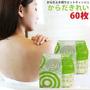 日本製 からだきれい 60枚 大判 からだふき用 ウエットティッシュ 入院 介護 スポーツ キャンプ 野外活動 防災グッズ 使い捨て ホットウォーマー使用可能 ...