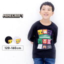 マインクラフト 服 長袖tシャツ キッズ ジュニア 男の子 女の子 120cm 130cm 140cm 150cm 160cm 子供服 トップス 長袖Tシャツ 春秋冬 シンプル ロンT おしゃれ かわいい 白 黒 キャラクター ms