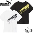 v[} PUMA TVc LbY WjA j̎q t  120cm 130cm 140cm 150cm 160cm q _X X|[cEFA  w w ubN zCg