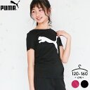 プーマ 半袖Tシャツ 女の子 ドライ PUMA 子供服 120cm 130cm 140cm 150cm 160cm 吸汗速乾 ガールズ スポーツウェア インナー 運動着 ルームウェア ランニング トレーニング 体育 部屋着 おしゃれ 黒 ブラック ピンク 小学生