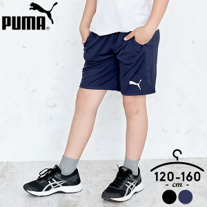 ס ϡեѥ å 㡼 ˤλ λ 120cm 130cm 140cm 150cm 160cm Ⱦܥ  å ˥ ݡ   ̳  ݰ ձ å Х  ϡեѥ Хѥ PUMA