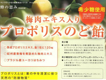 【ゆうパケット送料無料】プロポリス入り 梅肉のど飴　80g　×10袋 キャンディー【代引可】