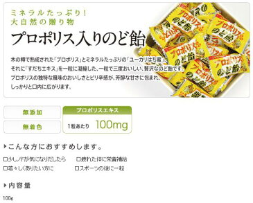 【メール便ポスト投函】プロポリス入のど飴 100g×2袋 キャンディー【代引不可】