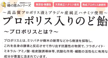 【メール便ポスト投函】プロポリス入のど飴 100g×2袋 キャンディー【代引不可】