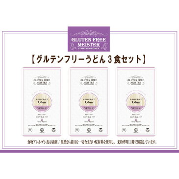 【メール便全国送料無料】【代引き不可】お米のうどん120g×3パックセット 生めん　グルテンフリー 小林生麺 おためし　アレルギー対応食品 自然食【10P02jun13】