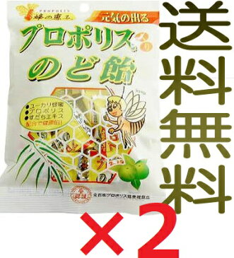 【メール便ポスト投函】プロポリス入のど飴 100g×2袋 キャンディー【代引不可】