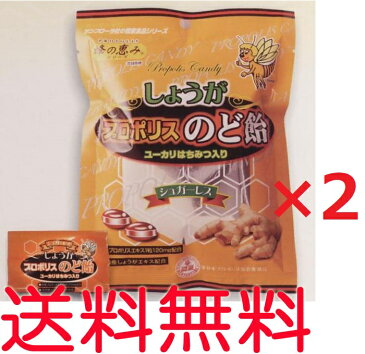 【ゆうパケット送料無料】生姜（しょうが）プロポリス入りのど飴　80g ×2袋　キャンディー【代引不可】