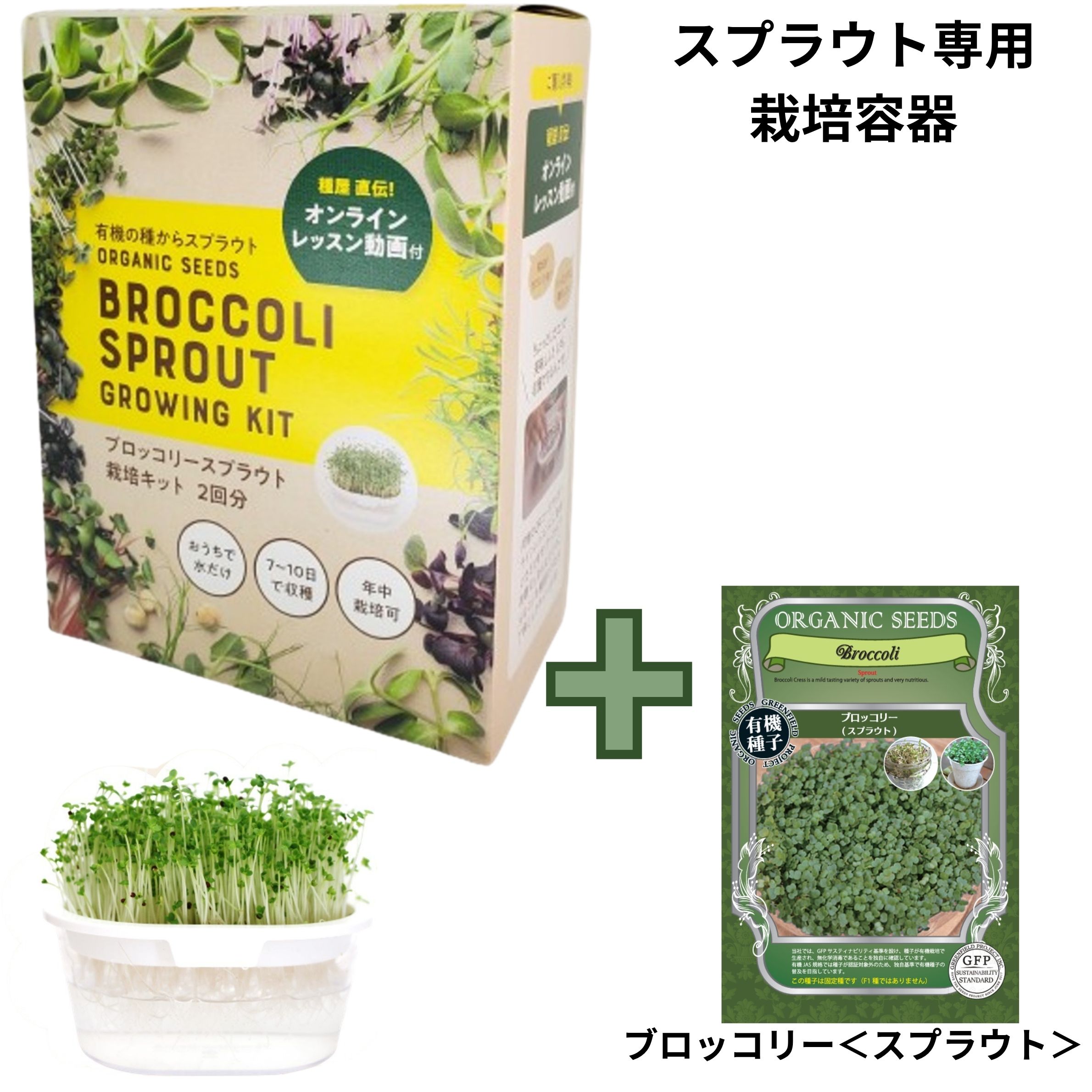 内容：：ブロッコリースプラウト有機種子　2袋（栽培2回分）+ブロッコリースプラウト種子12g/袋のセットイタリア産、 スプラウトが手軽に栽培できる！●特徴&nbsp;スルフォラファン」含有で近年注目される「ブロッコリースプラウト」の栽培キットです。&nbsp;種が2回分入っているお得なタイプです。&nbsp;　●水替えの悩みを解決！スプラウトの栽培で悩むのは、水替えの時。&nbsp;発芽が浅いと、タネが網からこぼれそうになったり、網を持つところがないと、片手でふらふらと水替え、キッチンがべちょべちょに。「キッチンファーム」はそんな悩みを解決！しっかりした取っ手があるので、水替えもラクですよ！片手でサササ！！　　とっても手軽に栽培できるので、　「超ビギナーだけど、何か育ててみたい！」という方にもおすすめです。 ●栽培方法&nbsp;1．透明容器に水を張り、メッシュ皿をセットします。2．メッシュ皿に種をばら撒きします。&nbsp;●ポイント！&nbsp;種が小さい場合、メッシュ皿から落ちやすくなります。&nbsp;必ず水を入れた後に種を入れてください。&nbsp;（水を最初に入れることで種が吸水し膨らみ、落ちにくくなります。）&nbsp;3．1日1〜2回水替えします。●ポイント！&nbsp;必ず種の入ったメッシュ皿を取り外し、透明容器の水を替えてください。&nbsp;（メッシュ皿に水が溜まると腐敗の原因になります。）&nbsp;4．お好みの長さで収穫！効率よく栄養を摂りたい方は発芽3〜4日で収穫がおススメです。発芽したてのスプラウトには栄養がギュっと詰まっています。たくさん育てたい方は7〜10日目で収穫がおススメです。たっぷり食べていろんなレシピで楽しもう！※成長スピードは気温・湿度などの栽培環境、品種によって異なります。上記日数はあくまで目安となります。※暑すぎると腐敗しやすいので、夏場は涼しい場所で育てましょう。※栽培期間が長くなるほど腐敗しやすくなるので、早めに収穫しましょう。 ●楽しみ方スプラウトとは豆類や野菜のタネを発芽させた新芽の茎と葉っぱのこと。成熟した野菜に比べビタミンやミネラルなどの栄養価が高いことから、近年、注目されています。生でサラダやサンドイッチに、冷奴やうどんにトッピング。普段の食事に手軽に摂り入れて楽しめます。育てるのもカンタンで、見て楽しく、食べておいしい、と三拍子そろったスプラウト。　お子様からご年配の方まで、ビギナーさんでも楽しめるのがスプラウト栽培の魅力です。商品名ブロッコリースプラウト栽培キット　内容ブロッコリースプラウト有機種子（4gX2回分）イタリア産、●容器サイズ（約）/10.2 X 14 X 高さ6.2cm ●ブロッコリースプラウト有機種子/2回分（2袋：各3.3g）●ブロッコリースプラウト有機種子12g/袋