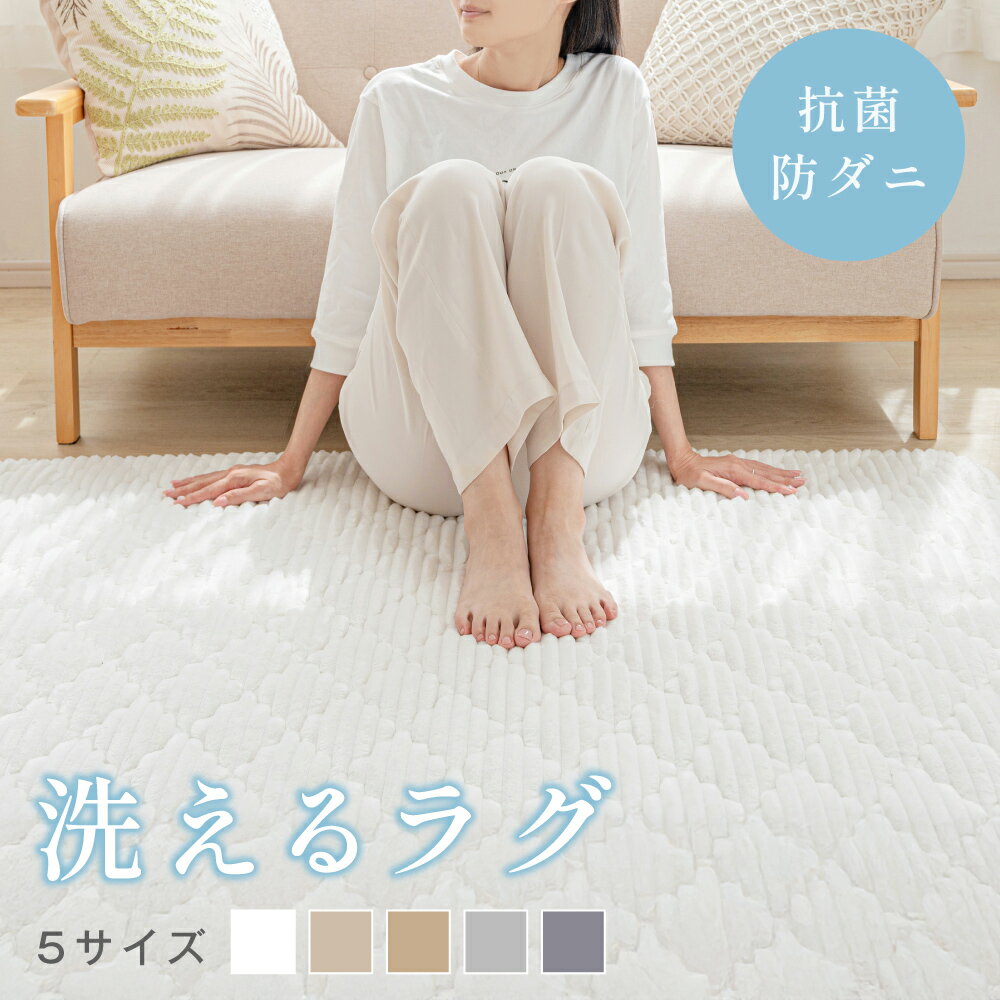 【4日20時〜最大90％OFFクーポン】ラグ 洗える ラグマット 絨毯 北欧 くすみ カーペット 95×140 130×190 190×190 190×240 190×300 1畳 1.5畳 2畳 3畳 リビング 滑り止め 床暖房対応 丸洗い かわいい おしゃれ 子供 家族 秋 冬用のサムネイル