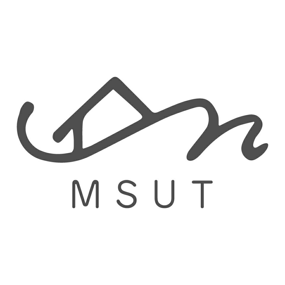 Shop icon