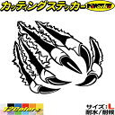 爪痕 爪傷 (右)4・1 サイズL カッティングステッカー 全12色 車 バイク かっこいい 爬虫類 モンスター 恐竜 バンパー ボディ カウル タンク ボックス 凹み 擦り 傷 キズ 傷隠し ちょい悪 防水 アウトドア 耐水 ユニーク おもしろ 自動車 転写 シール
