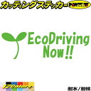 おもしろ ドラレコ ステッカー EcoDrivingNow ( エコドライブ ) 1-3カッティングステッカー 全12色 車 あおり運転 煽り運転 対策 おしゃ...