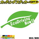ドラレコ おもしろ ステッカー EcoDrivingNow ( エコドライブ ) 1-4カッティングステッカー 全12色 車 あおり運転 煽り運転 おしゃれ か...