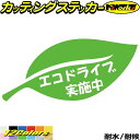 ドラレコ おもしろ ステッカー エコドライブ実施中 1-8 カッティングステッカー 全12色(90mmX195mm) 車 あおり運転 煽り運転 対策 防止 おしゃれ かわいい アピール 宣言 面白 ボックス ガラス 文字 デカール 防水 耐水 アウトドア 目印 転写 シール