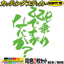 バイク ステッカー ZZR 乗りですがなにか? (2枚1セット)カッティングステッカー 全12色 ZZR250 ZZR400 ZZR600 ZZR1100 ZZ...