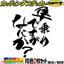 バイク ステッカー 隼 乗りですがなにか？ (2枚1セット) カッティングステッカー 全12色(120mmX95mm) 鈴菌 ハヤブサ hayabusa GSX 1300 ボックス おもしろ 面白 文字 デカール 防水 耐水 アウトドア 目印 転写 シール