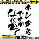 車 おもしろ ステッカー ホンダ党ですがなにか？ (2枚1セット) カッティングステッカー 全12色(120mmX95mm) バイク ワンポイント カー用品 ツール ボックス タンク 面白 ギャグ ネタ 文字 シール 防水 耐水 デカール ユニーク アウトドア