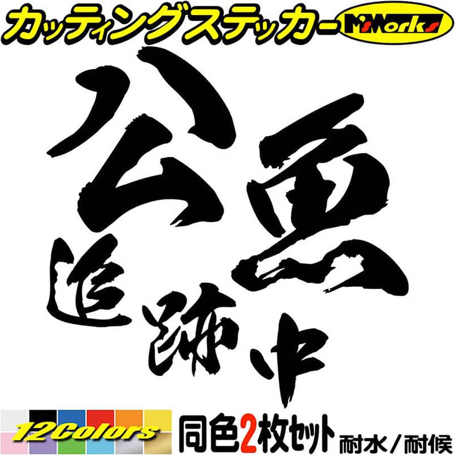 釣りステッカー公魚追跡中(ワカサギ釣り)(2枚1セット)カッティングステッカー全12色(95mmX9