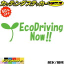【 楽天スーパーSALE 50%OFF 】 おもしろ ドラレコ ステッカー EcoDrivingNow ( エコドライブ ) 1-3カッティングステッカー 全12色 車 あおり運転 煽り運転 対策 おしゃれ かわいい 後方 迷惑 法定 速度 遵守 ボックス 面白い おもしろ 自動車 耐水 防水 切り文字 シール