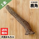 【 15cm 中型犬 】鹿の角 犬 おもちゃ 無添加 おやつ エゾジカ 国産 鹿 角 ガム デンタルケア monolife